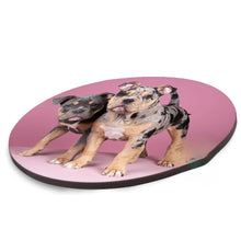 Load image into Gallery viewer, Coasters