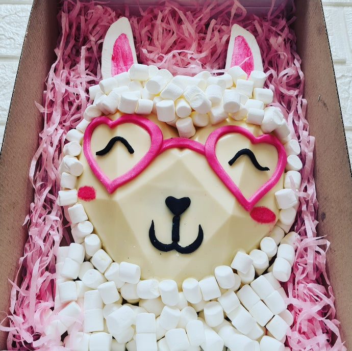 🦙Smash Llama Box🦙